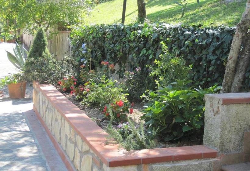 Bed and Breakfast Valle Degli Ulivi  | Terni | Terni | Itália 8