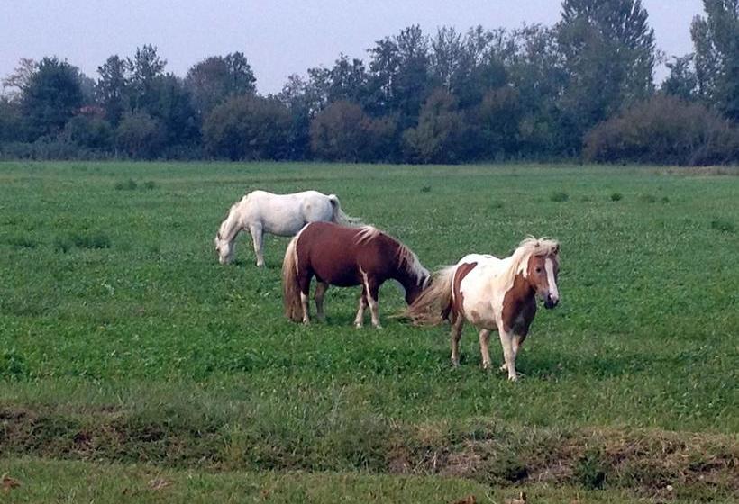 Bed And Breakfast Azienda Agricola Cascina Salazzara  | Magenta | Milano | Italia 2