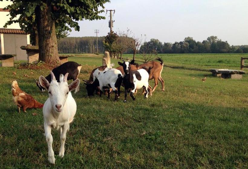 Bed And Breakfast Azienda Agricola Cascina Salazzara  | Magenta | Milano | Italia 4