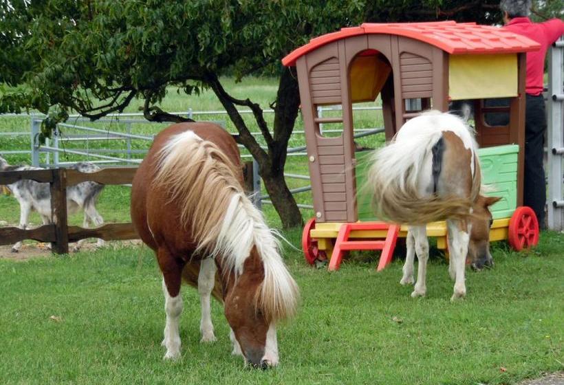 Bed And Breakfast Azienda Agricola Cascina Salazzara  | Magenta | Milano | Italia 6