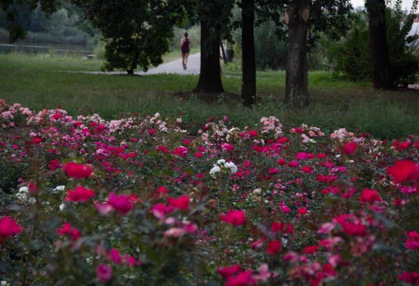 Hotel Internazionale  | Bellaria | Rimini | Italia 11