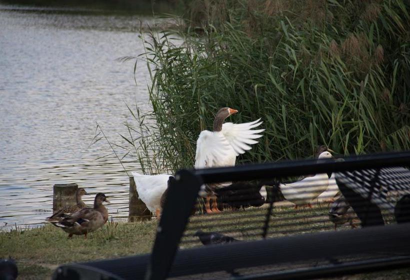 Hotel Internazionale  | Bellaria | Rimini | Italia 19