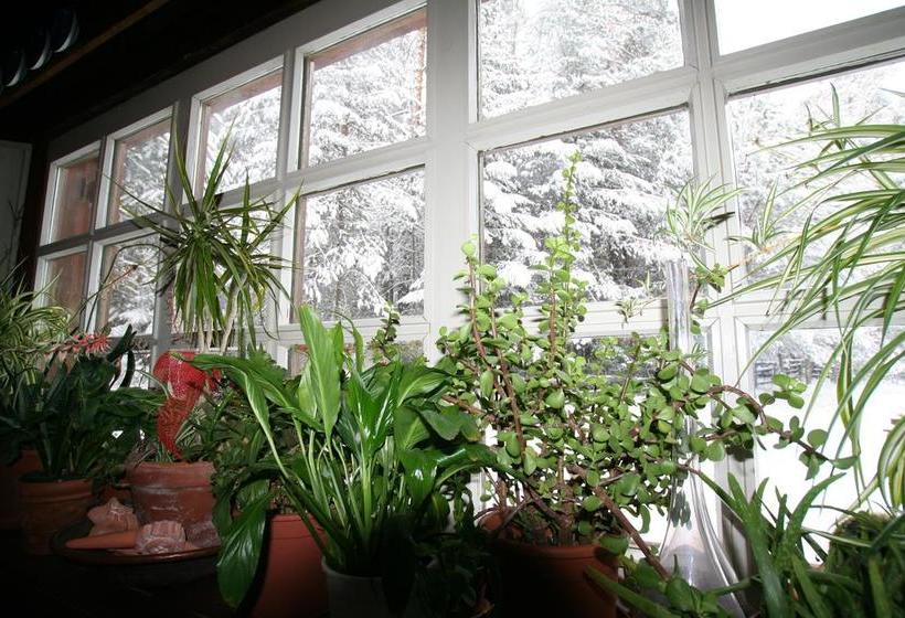 B&b Villa Dolomites Hut  | Marebbe | Bolzano | Italia 14