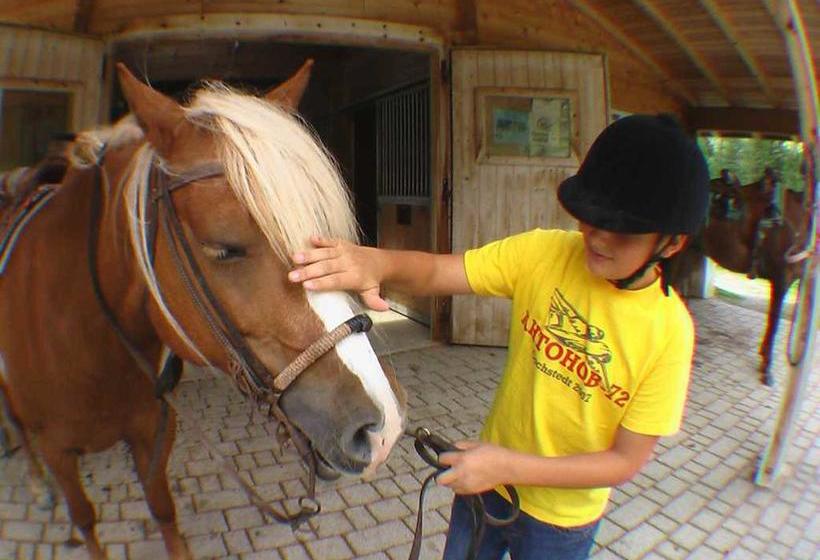 B&b Villa Dolomites Hut  | Marebbe | Bolzano | Italia 20