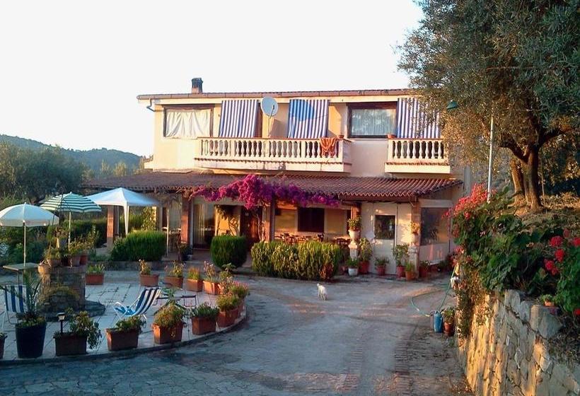 Bed and Breakfast Dolce Basilico  | Agropoli | Salerno | Italia 1