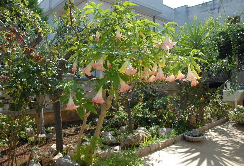 Bed and Breakfast Villa Palma  | Pezze di Greco | Brindisi | Italia 13