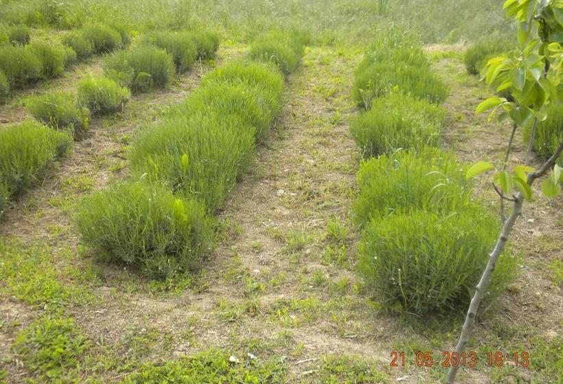 B&b Le Fragranze  | Varzi | Pavia | Italia 14