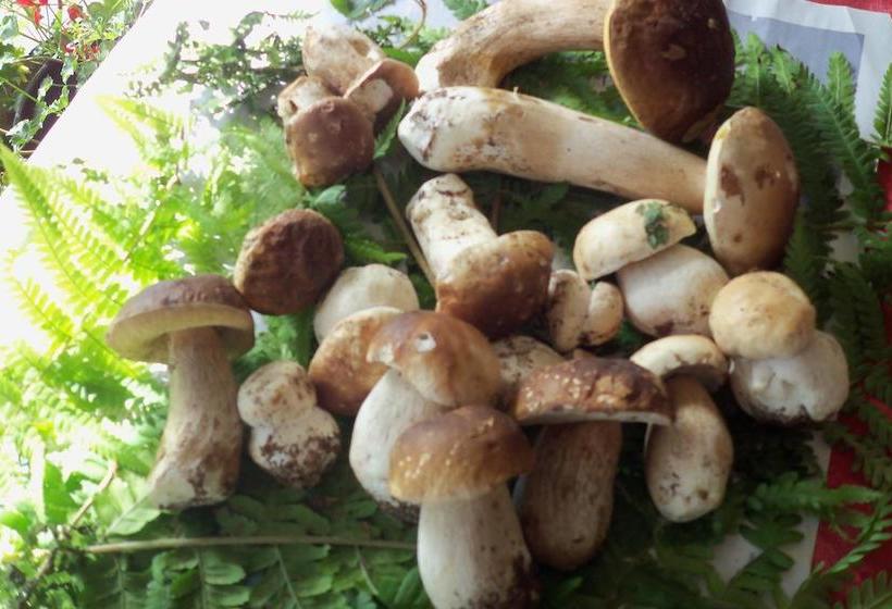 Bed and Breakfast Borgoeden  | Borgo val di Taro | Parma | Italia 18