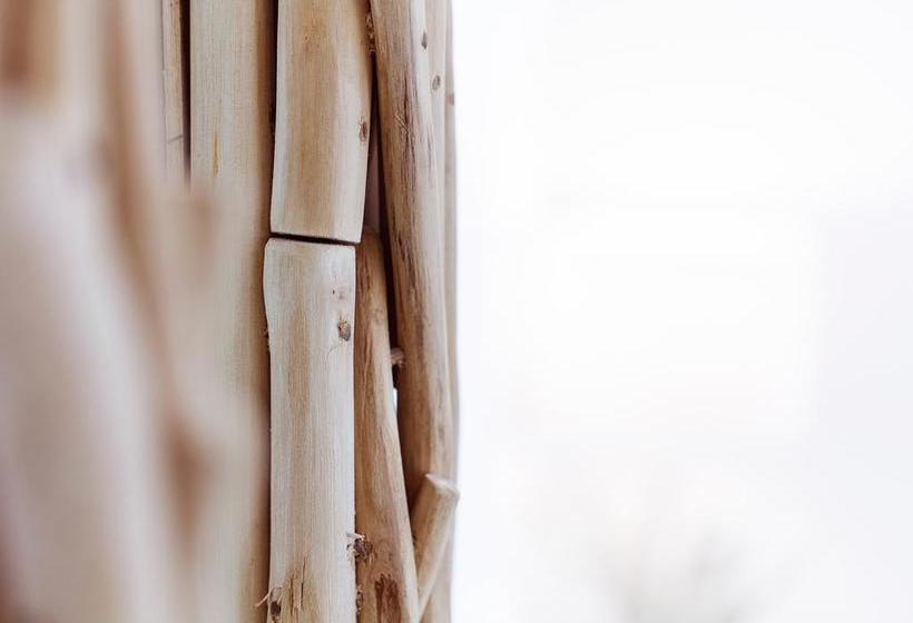 Hotel Manè Boutique  | Roseto Degli Abruzzi | Teramo | Italia 6