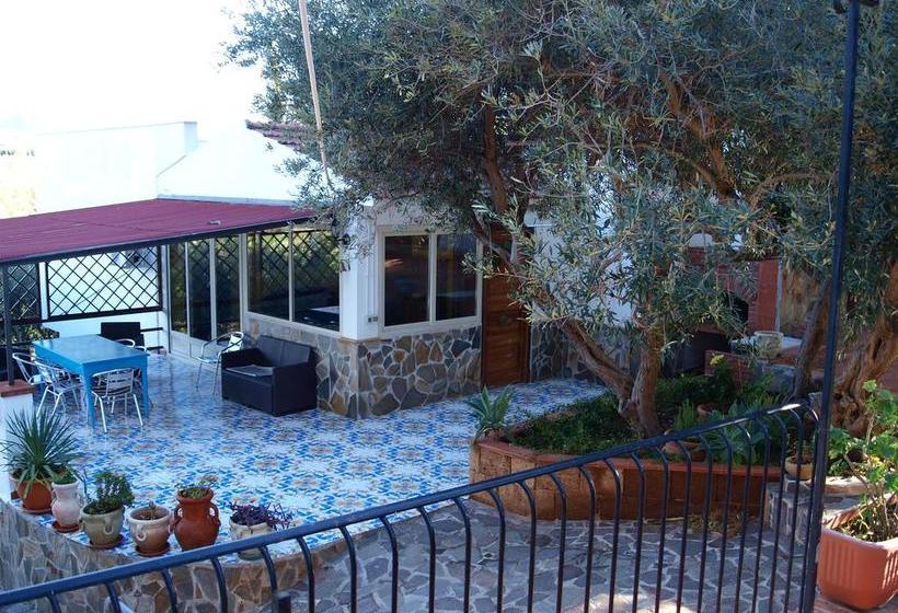 B&b Agrosicilia  | Altavilla Milicia | Palermo | Italia 4