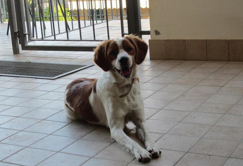 B&b Occhi Di Mare  | San Benedetto del Tronto | Ascoli Piceno | Italia 5