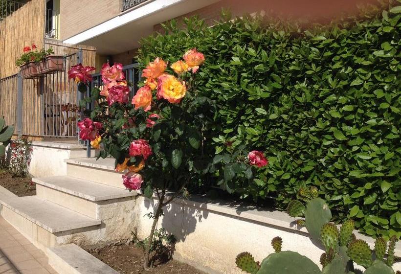 B&b Occhi Di Mare  | San Benedetto del Tronto | Ascoli Piceno | Italia 8