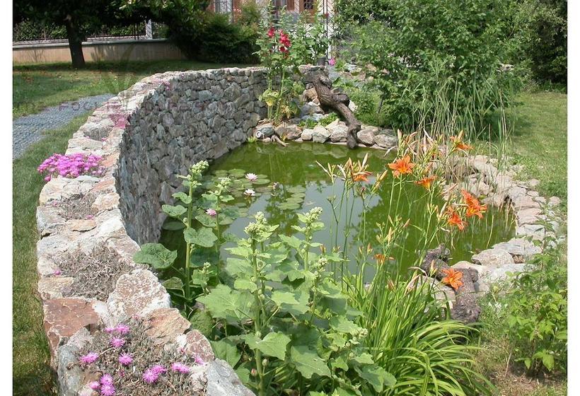 B&b Tre Foglie Di Pesco  | Rivoli | Torino | Italia 10