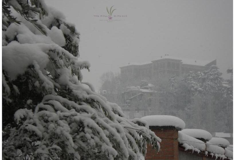 B&b Tre Foglie Di Pesco  | Rivoli | Torino | Italia 14