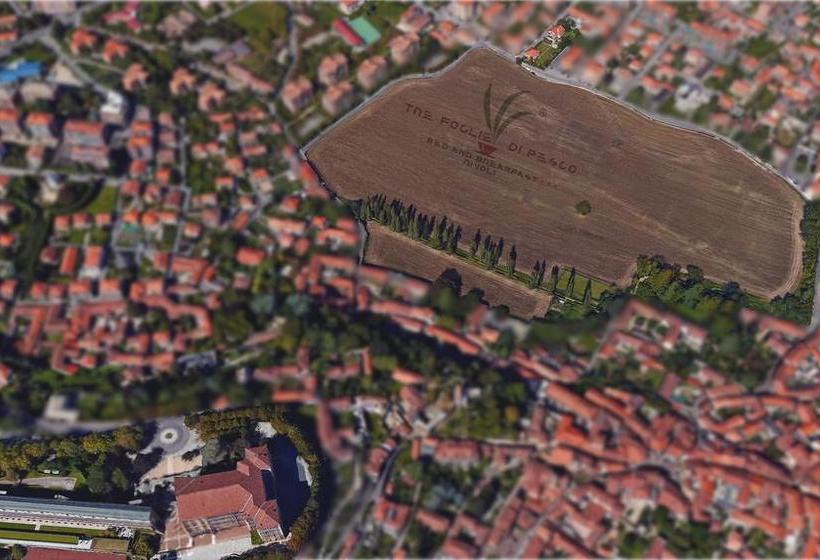 B&b Tre Foglie Di Pesco  | Rivoli | Torino | Italia 16