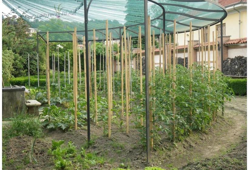 B&b Tre Foglie Di Pesco  | Rivoli | Torino | Italia 18