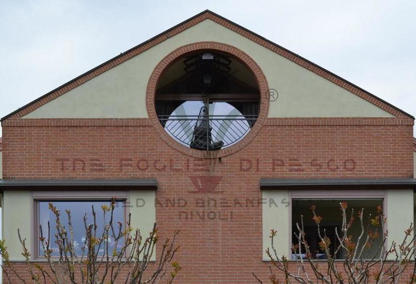 B&b Tre Foglie Di Pesco  | Rivoli | Torino | Italia 2