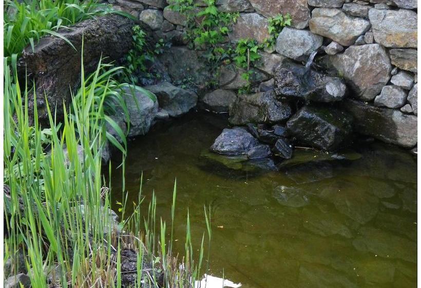 B&b Tre Foglie Di Pesco  | Rivoli | Torino | Italia 20