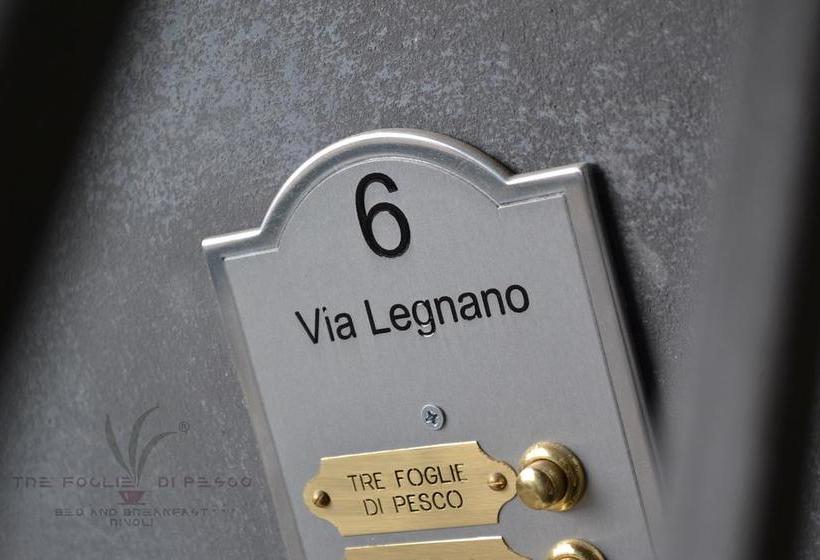 B&b Tre Foglie Di Pesco  | Rivoli | Torino | Italia 5