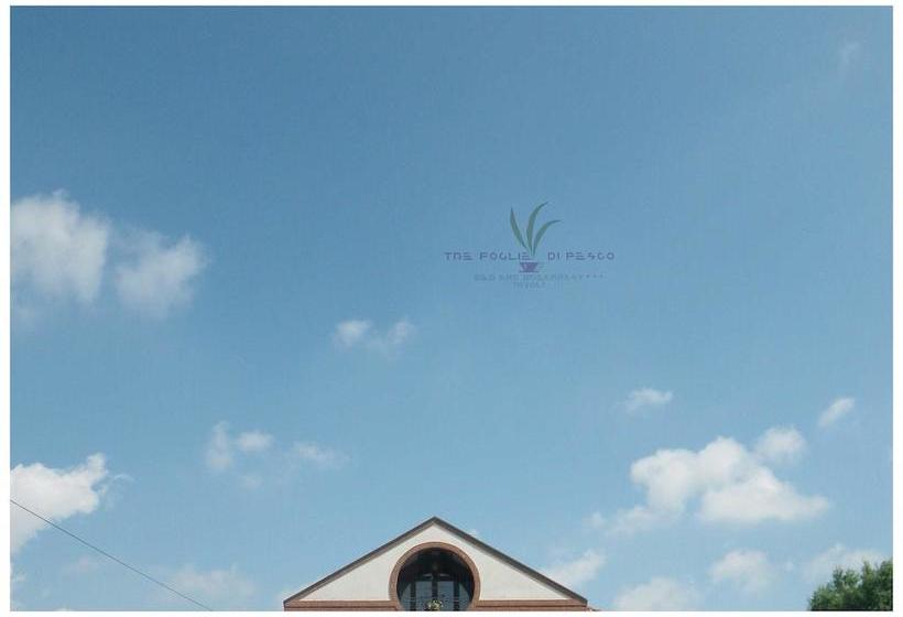 B&b Tre Foglie Di Pesco  | Rivoli | Torino | Italia 8