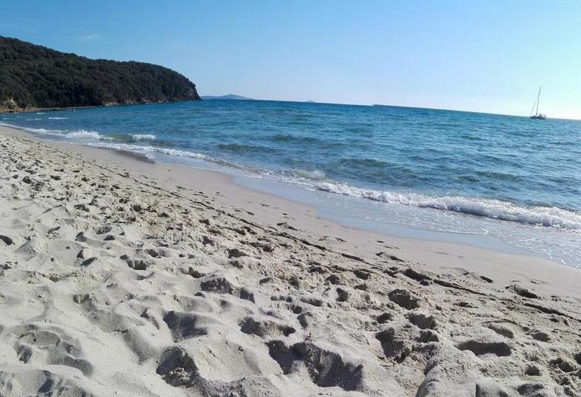 Bed and Breakfast Nel Giardino Di Alice  | Gavorrano | Grosseto | Italia 1