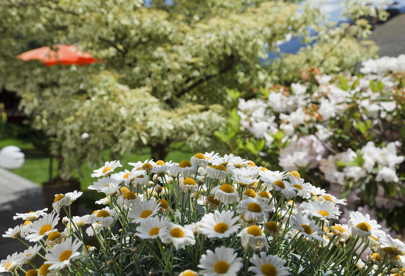 Bed and Breakfast Garni Pension Claudia  | Silandro | Bolzano | Italia 11