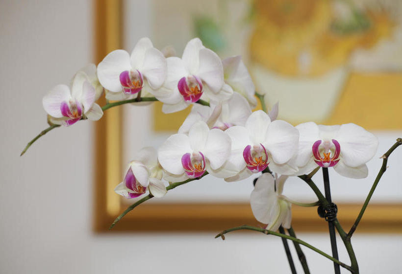 Bed and Breakfast Garni Pension Claudia  | Silandro | Bolzano | Italia 17