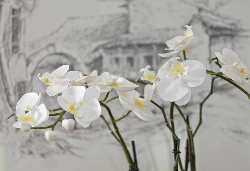 Bed and Breakfast Garni Pension Claudia  | Silandro | Bolzano | Italia 18