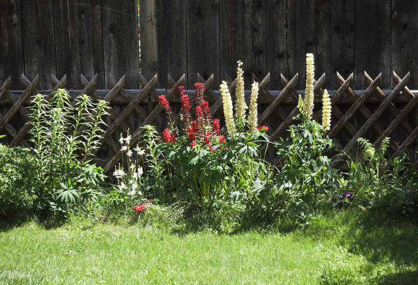 Bed and Breakfast Garni Pension Claudia  | Silandro | Bolzano | Italia 8