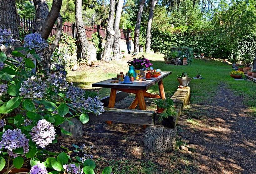 Villa Caterina B&b  | Nicolosi | Catania | Italia 14