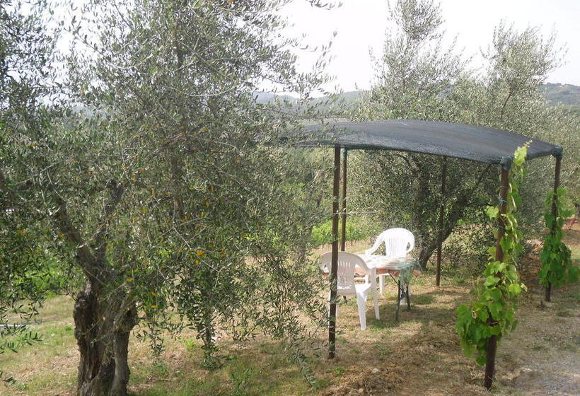 Bed and Breakfast Villa Faule  | Vagliagli | Siena | Italia 13