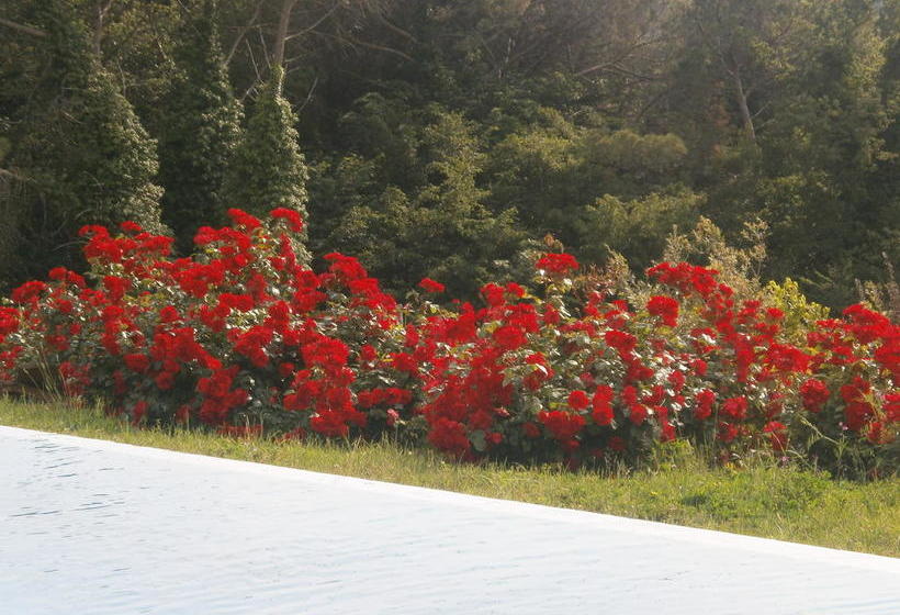 Bed and Breakfast Villa Faule  | Vagliagli | Siena | Italia 8