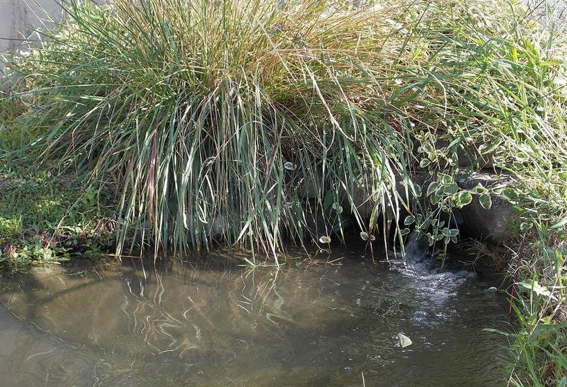 Hotel Tuscany Nice Stay  | Pistoia | Pistoia | Italia 19