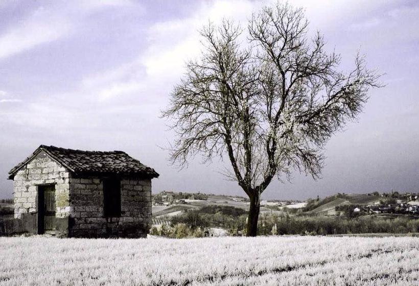 B&b Monferrato La Casa Sui Tetti  | Murisengo | Alessandria | Italia 15