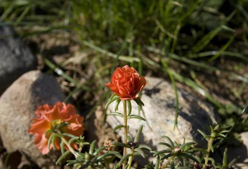Hotel Cascina Govean  | Alpignano | Torino | Italia 20
