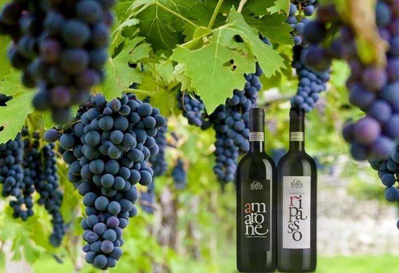 Hotel Albergo Alla Pesa  | San Pietro in Cariano | Verona | Italia 9