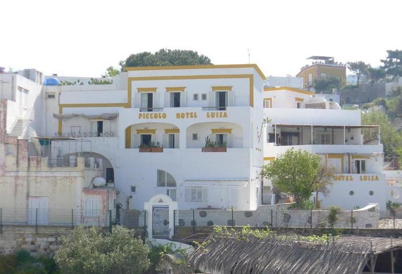 Piccolo Hotel Luisa  | Ponza - Ponza Isola | Latina | Italia 13