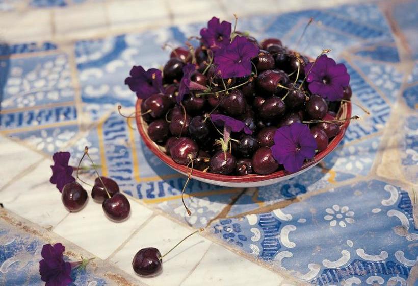 Bed and Breakfast Villa Laetitia  | Ponza - Ponza Isola | Latina | Italia 7