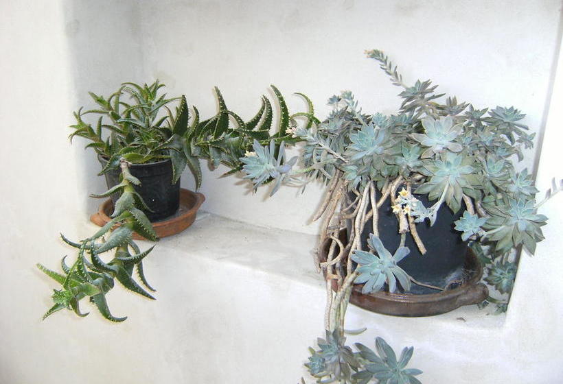 Bed and Breakfast Lunaponzese  | Ponza - Ponza Isola | Latina | Italia 5