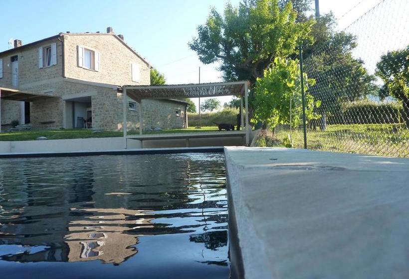 Bed and Breakfast Tuttaterra  | Serra San Quirico | Ancona | Italia 15