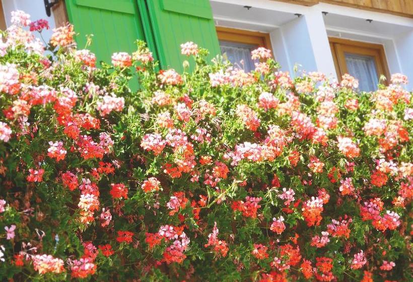 Hotel Garni Apartments Ortlerblick  | Schluderns | Bolzano | Italia 17