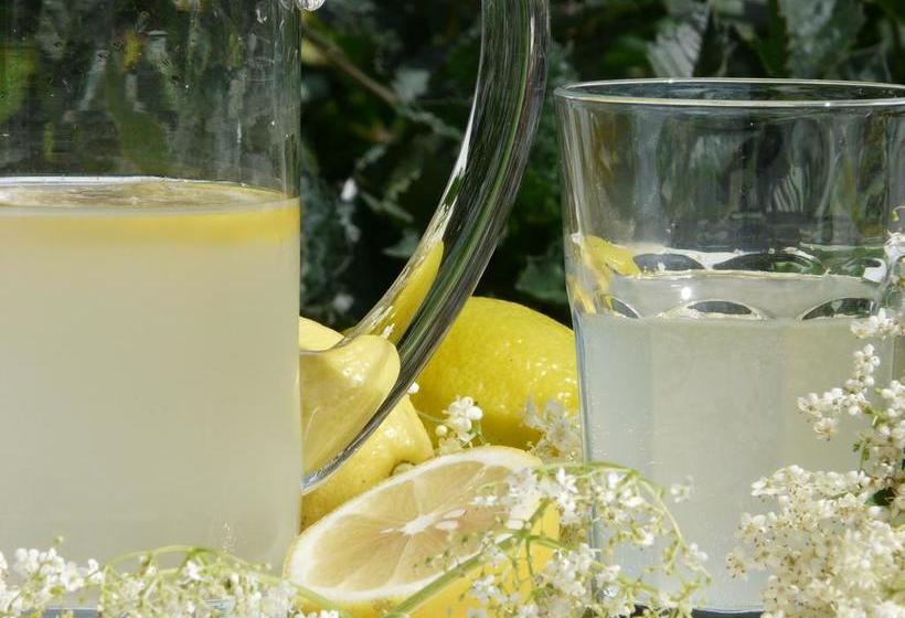 Hotel Garni Apartments Ortlerblick  | Schluderns | Bolzano | Italia 18