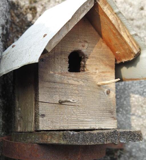 Bed and Breakfast Sentiero Valinis  | Fanna | Pordenone | Italia 18