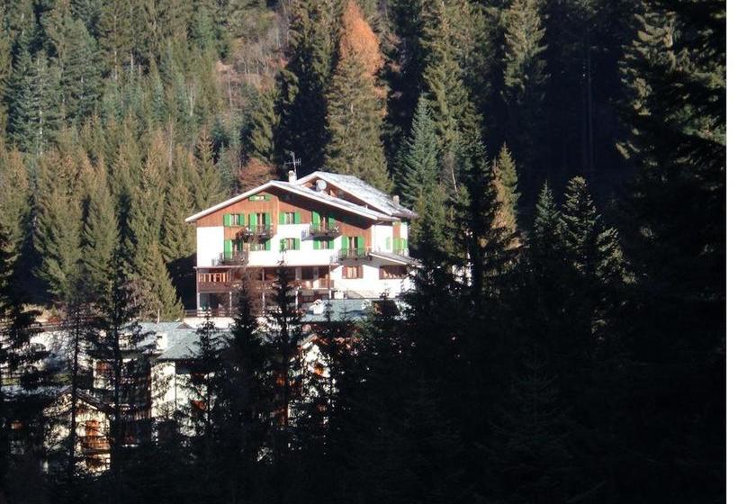 Hotel Albergo Pineta  | Gerola Alta | Sondrio | Italia 1