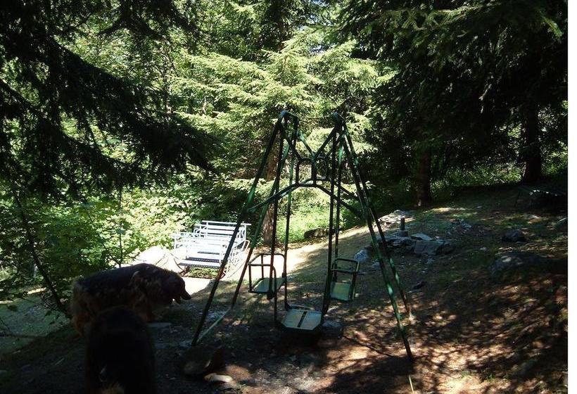 Hotel Albergo Pineta  | Gerola Alta | Sondrio | Italia 11