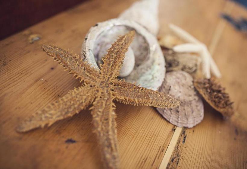 Bed and Breakfast Il Giardino Di Annamaria  | Carmiano | Lecce | Italia 20