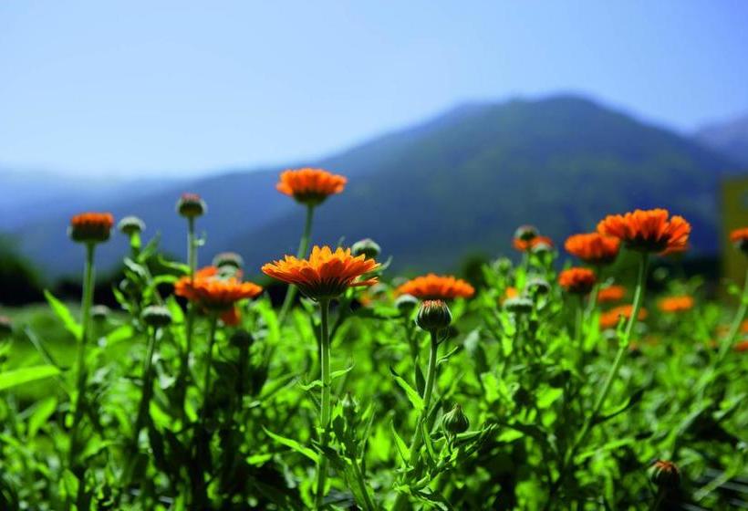 Landhotel Zum Löwen  | Rodengo - Rodeneck | Bolzano | Italia 16