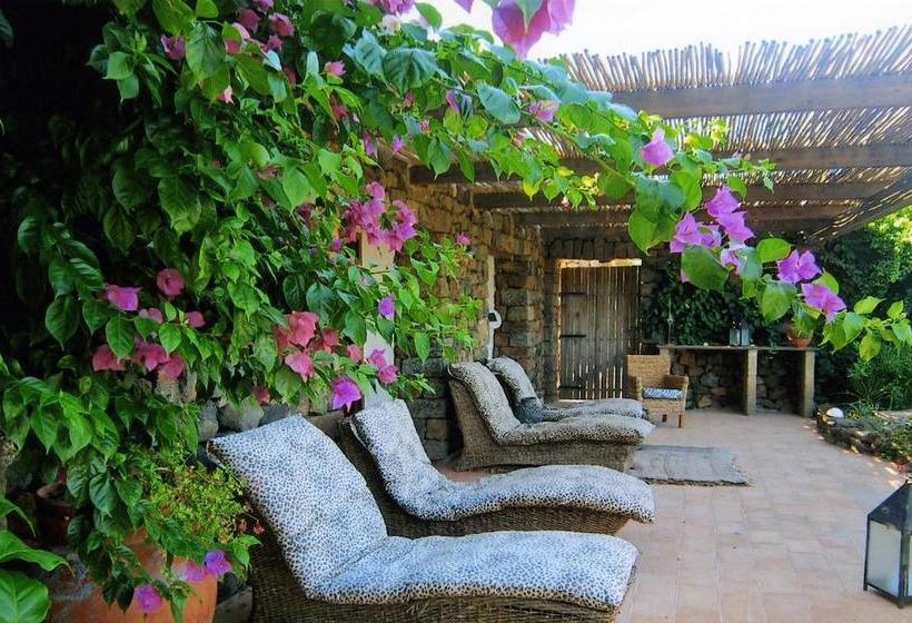 Bed and Breakfast Don Mario Resort  | Pantelleria - Isola di Pantelleria | Trapani | Italia 18