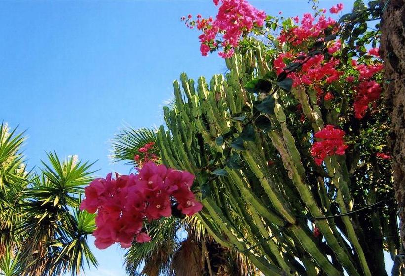 Bed and Breakfast Don Mario Resort  | Pantelleria - Isola di Pantelleria | Trapani | Italia 9