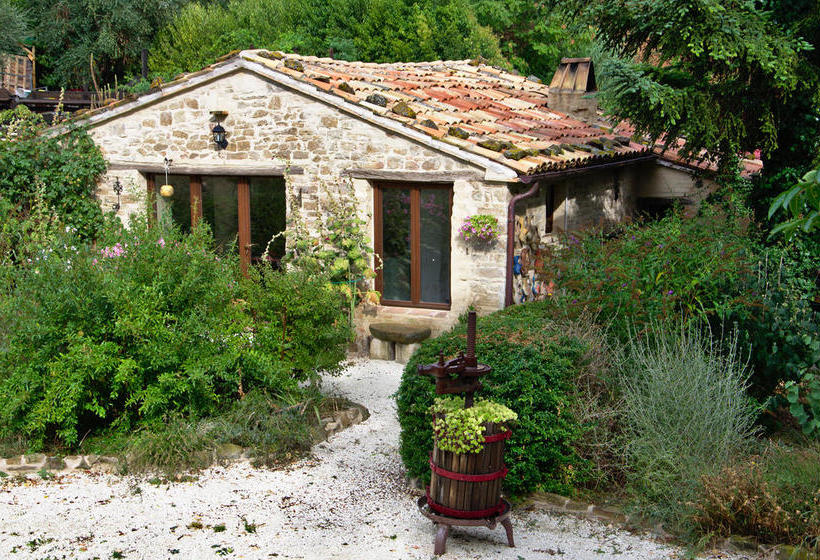 Bed and Breakfast La Girandola  | Cupramontana | Ancona | Italia 14